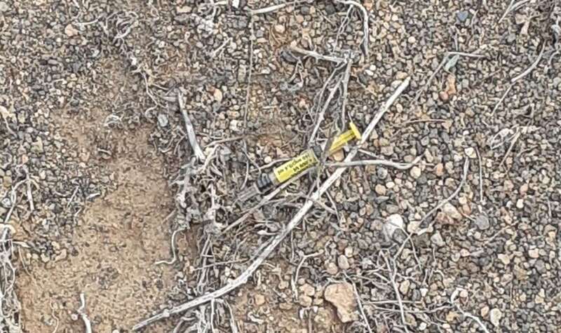 Imagen de la jeringuilla en cuestión (Foto TA)